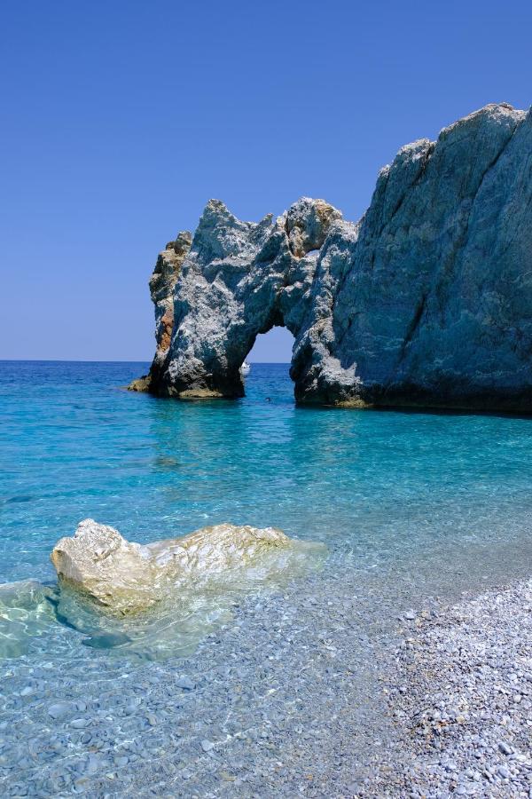 Taxiarchis Apartments Skiathos stad Exteriör bild